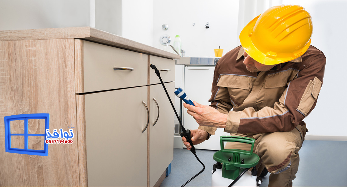 شركة مكافحة حشرات بالدمام