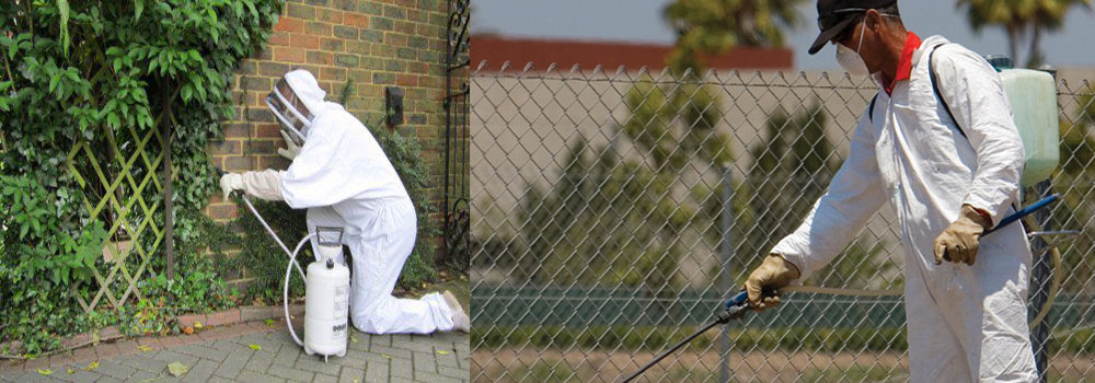 شركة رش مبيدات بالرياض