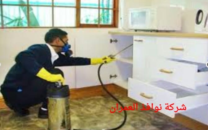 شركة مكافحة حشرات بالرياض