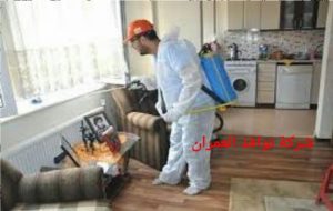 شركة مكافحة حشرات بالرياض