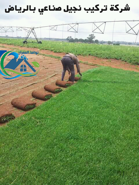 شركة تركيب نجيل صناعي بالرياض