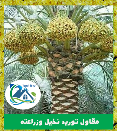 مقاول توريد نخيل وزراعته