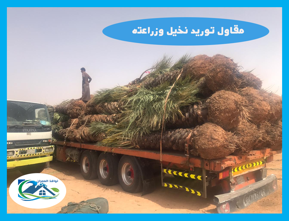 مقاول توريد نخيل وزراعته