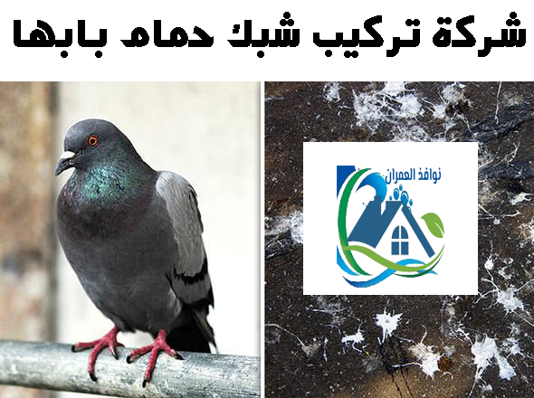 شركة تركيب شبك حمام بابها