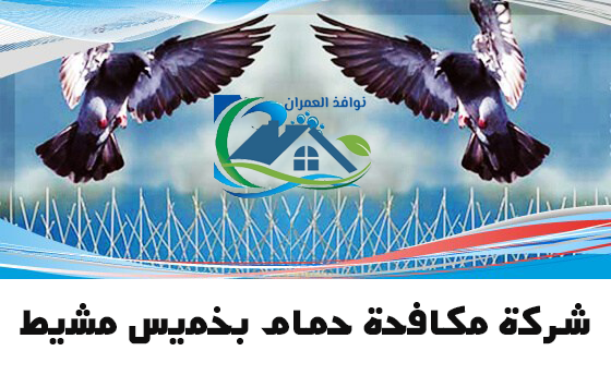 شركة مكافحة حمام بخميس مشيط