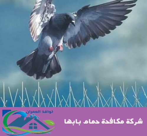 شركة مكافحة حمام بابها