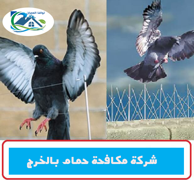 شركة مكافحة حمام بالخرج