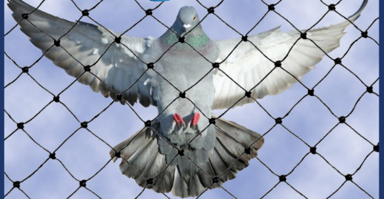تركيب شبك حمام بالدمام