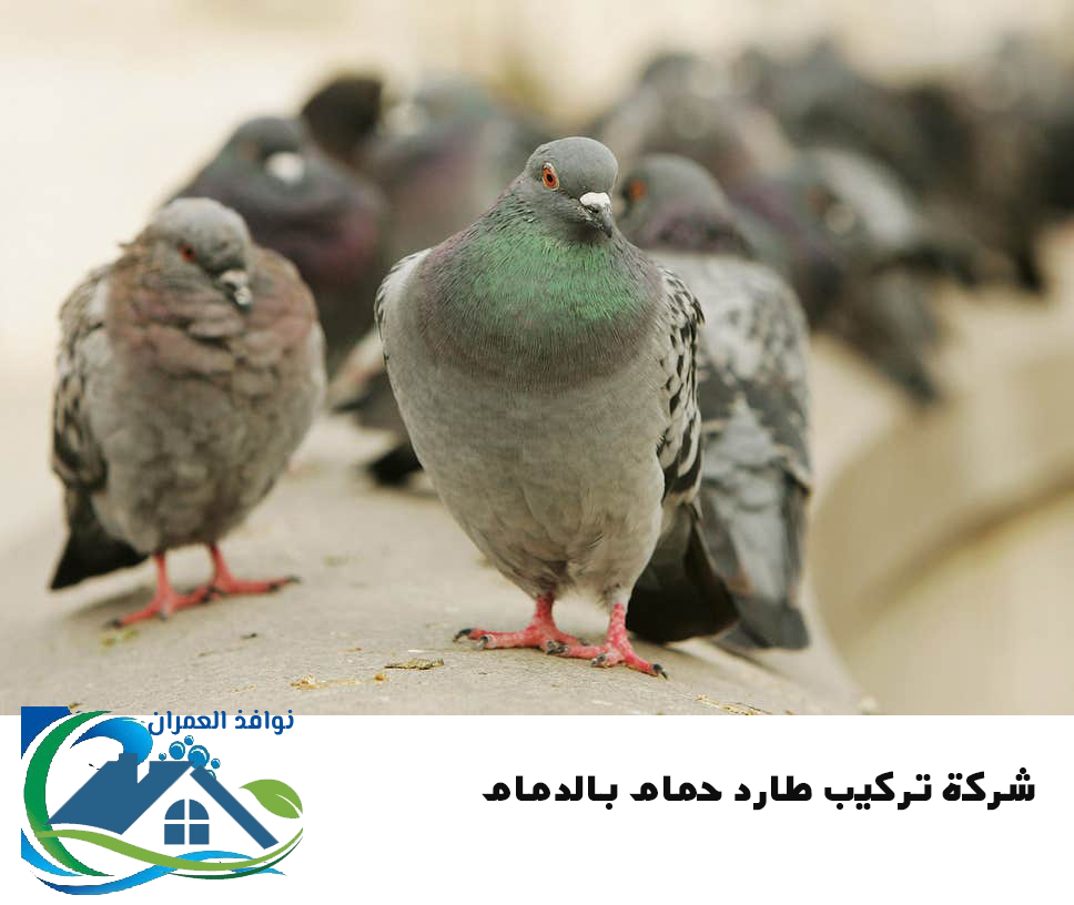 شركة تركيب طارد حمام بالدمام