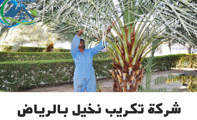 شركة تكريب نخيل بالرياض