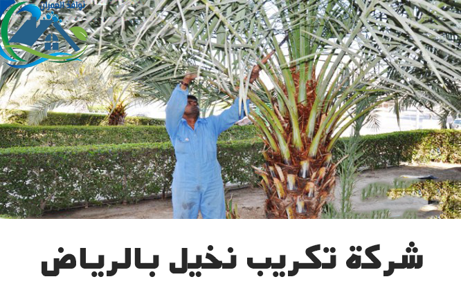 شركة تكريب نخيل بالرياض