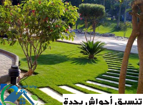 تنسيق أحواش بجدة