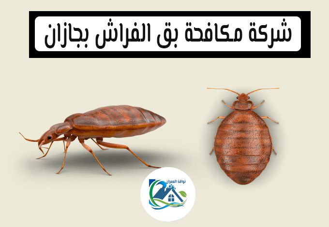 شركة مكافحة بق الفراش بجازان