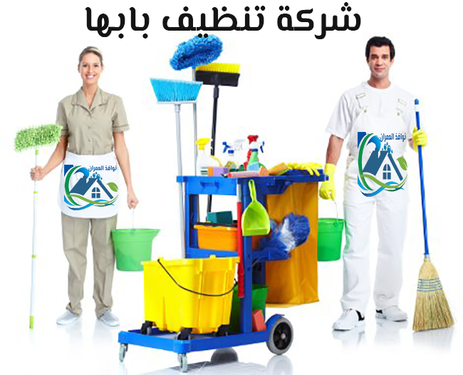 شركة تنظيف بابها
