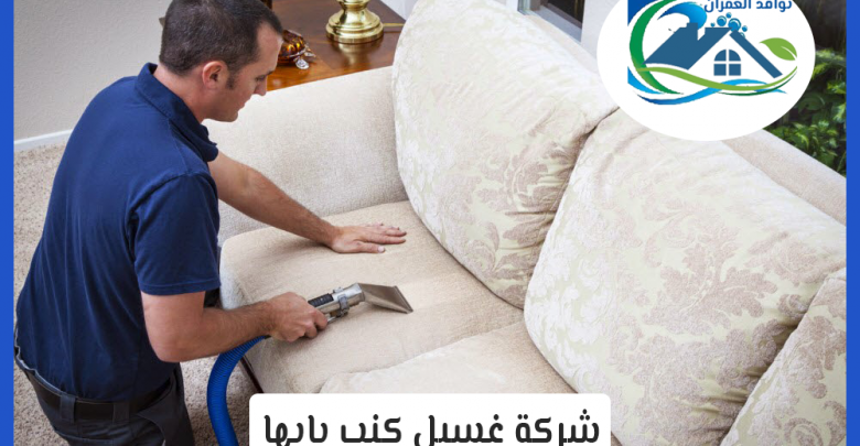 شركة غسيل كنب بابها