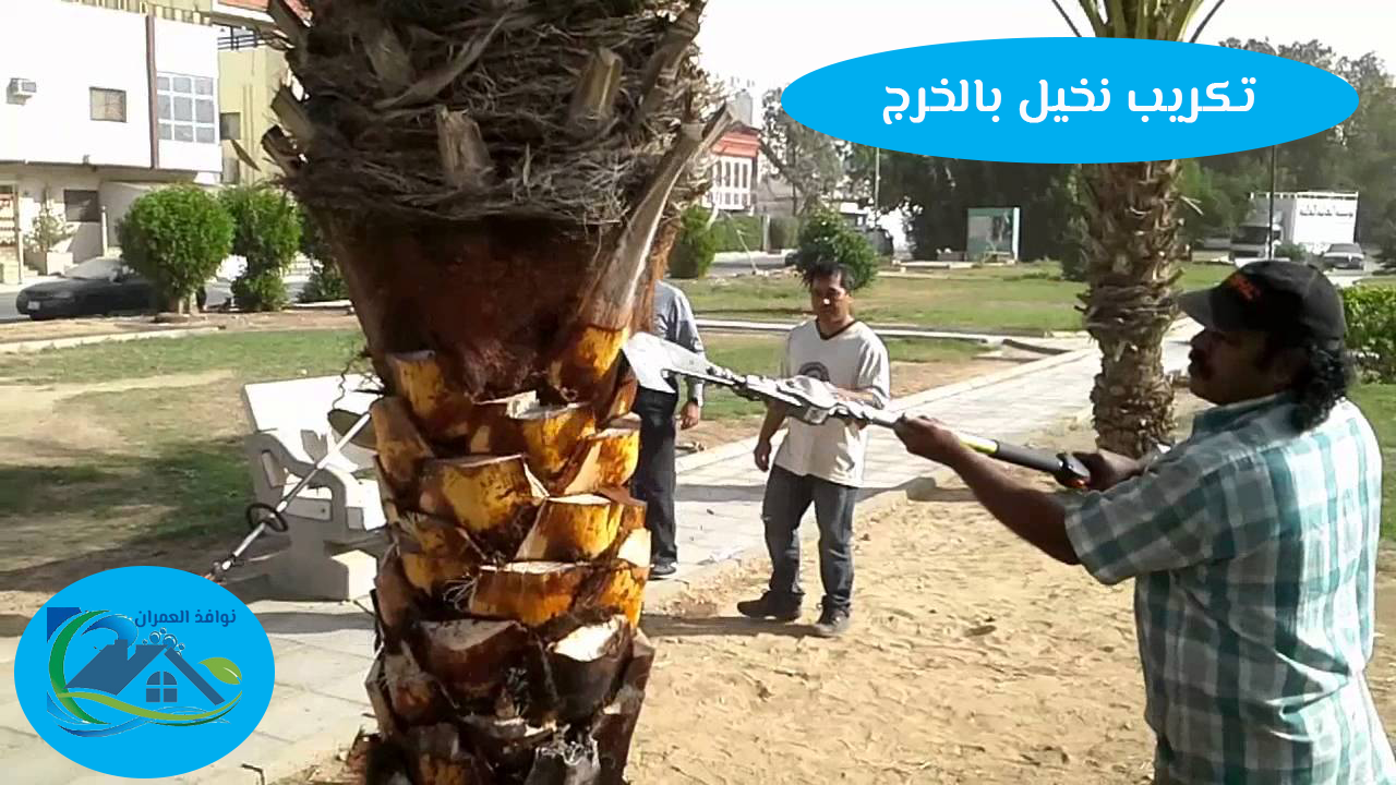 تكريب نخيل بالخرج