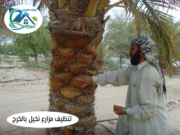 تنظيف مزارع نخيل بالخرج