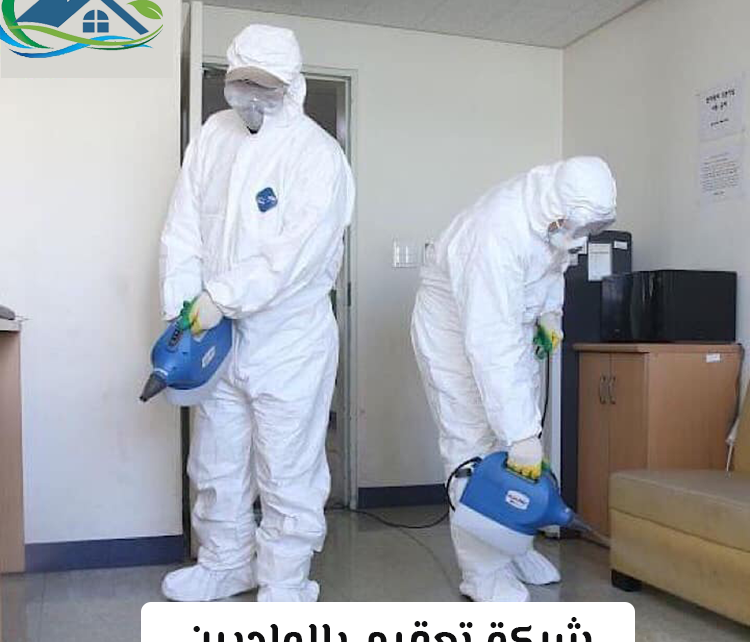 شركة تعقيم بالواديين