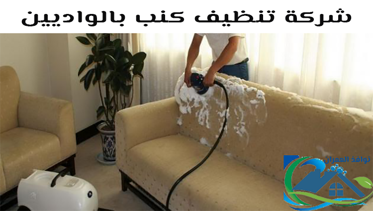 شركة تنظيف كنب بالواديين