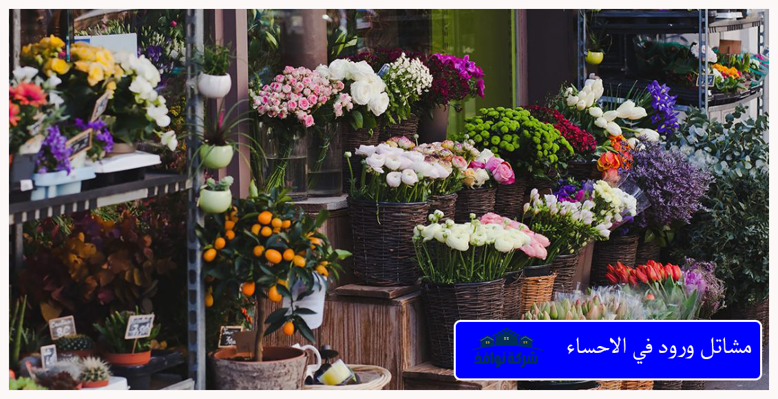 مشاتل ورود في الاحساء