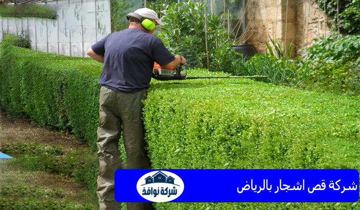 شركة قص اشجار بالرياض