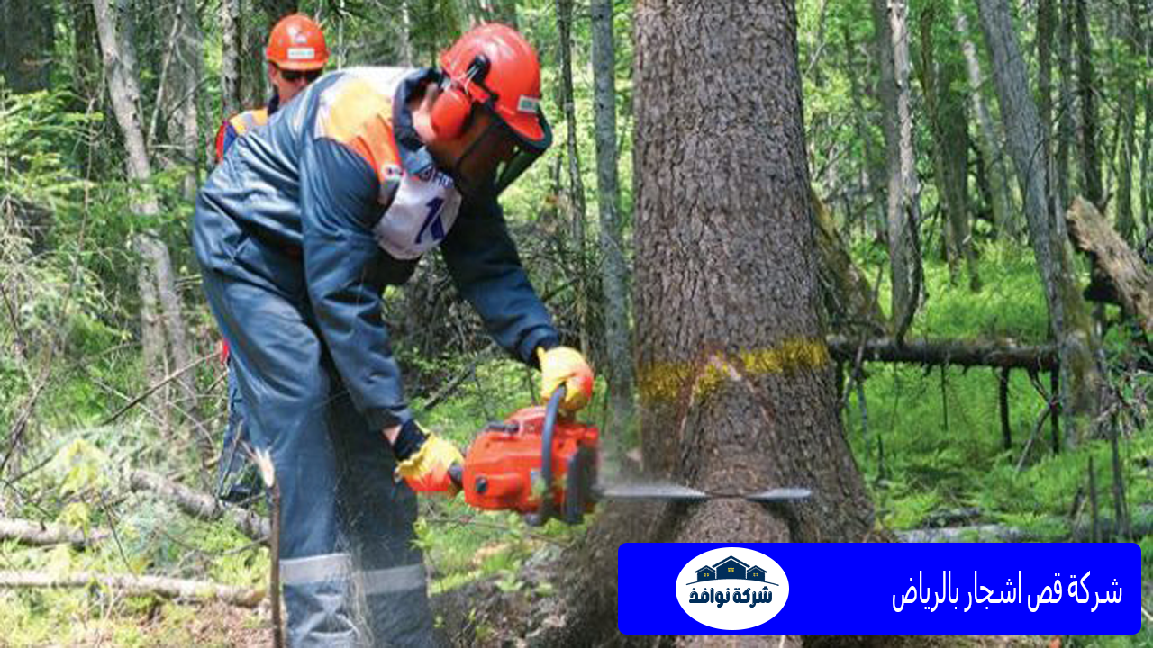 شركة قص اشجار بالرياض