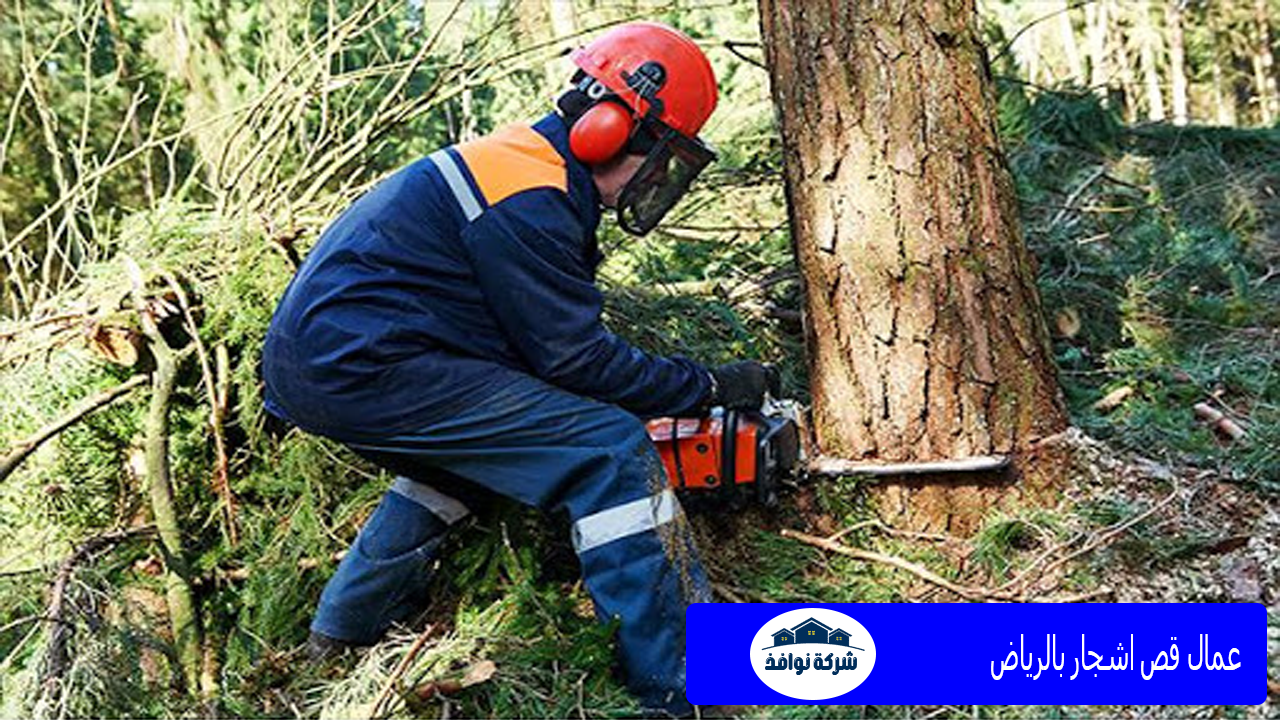 عمال قص أشجار بالرياض